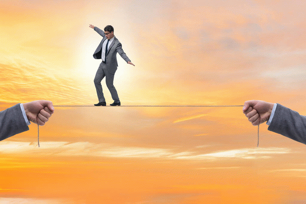 راهنمای کامل اسباب بازی خرگوش (تجاری و خانگی) + 18 نکته