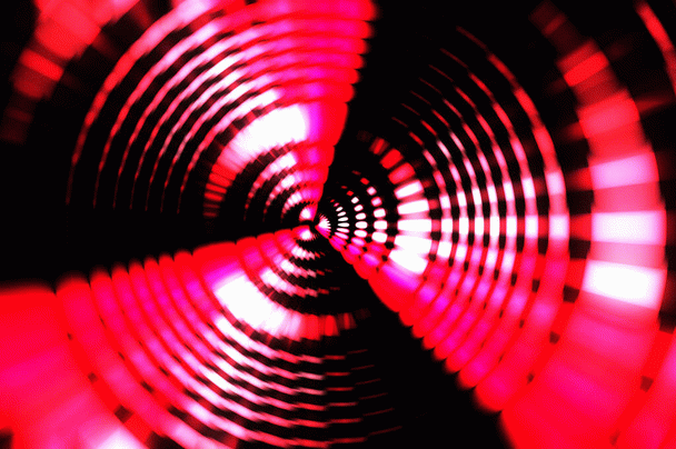 با دانستن این 19 نکته توله سگ مناسب خود را پیدا کنید